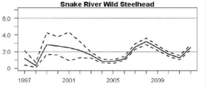 Steelhead SARs