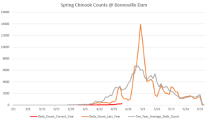 Bonneville spring chinook down