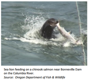 HR 2083 bonneville dam