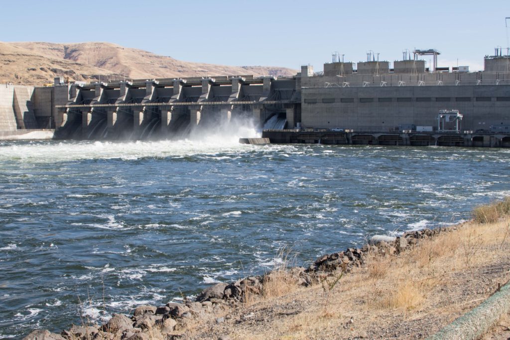 BPA and the Lower Snake River Dams – DamSense