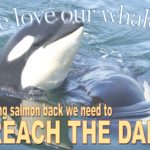 PostCard_WeLoveOurWhales7x5