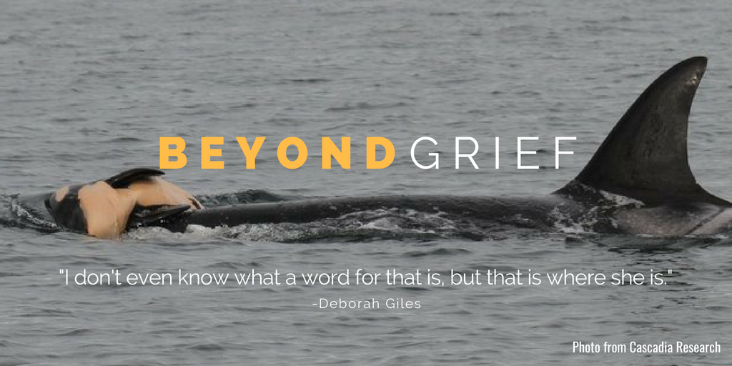 beyond grief